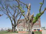 Greensburg Kansas after F5 Tornado