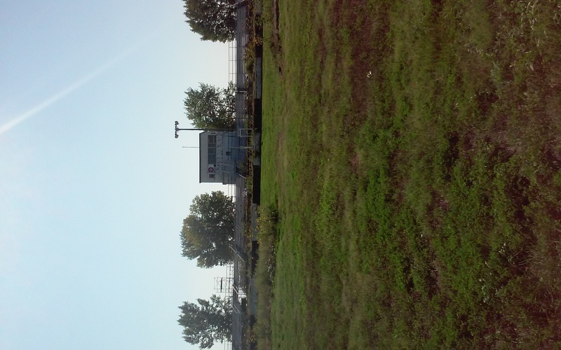 Score tower