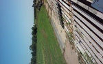 Turn 1 